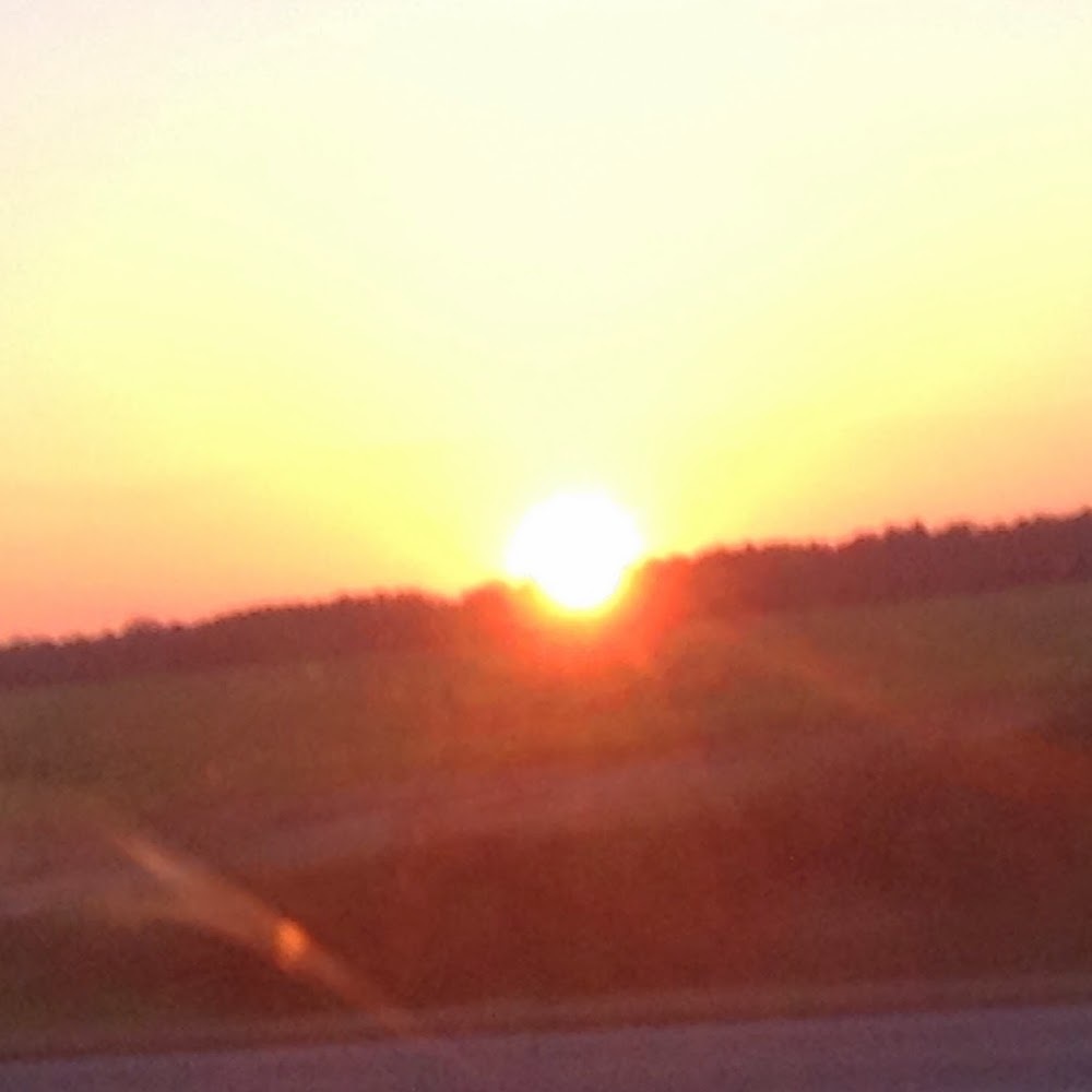 Meet your Posher, Fanny